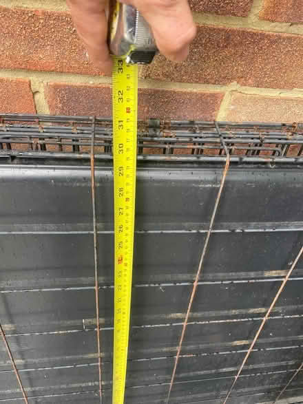 Photo of free Extra large dog cage (Hatfield) #2