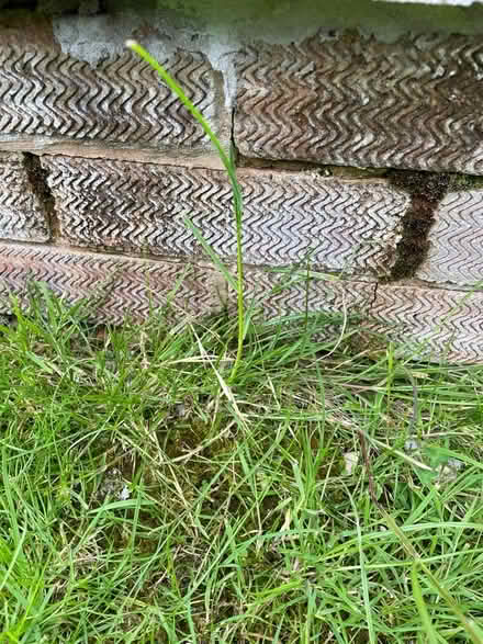 Photo of Engineering bricks (Brightwell cum Sotwell OX10) #1