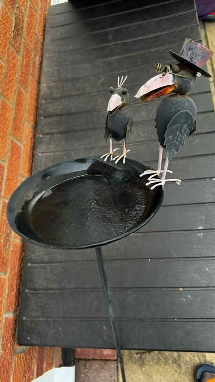 Photo of free Bird feed / water (Loughborough) #1