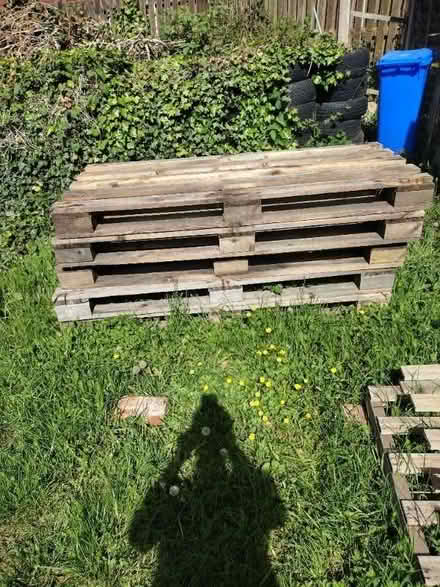 Photo of free Pallets (Ashton-U-Lyne OL6) #2