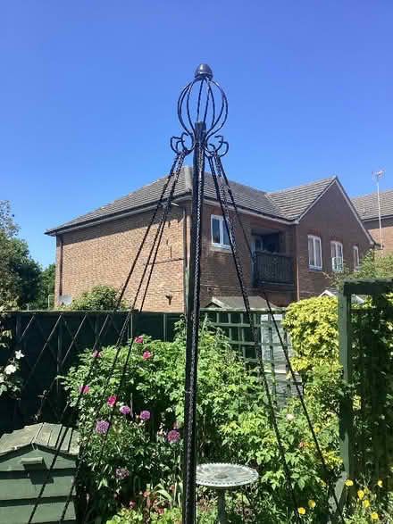Photo of free Maypole plant support. (Barnet, Stirling Corner WD6) #1