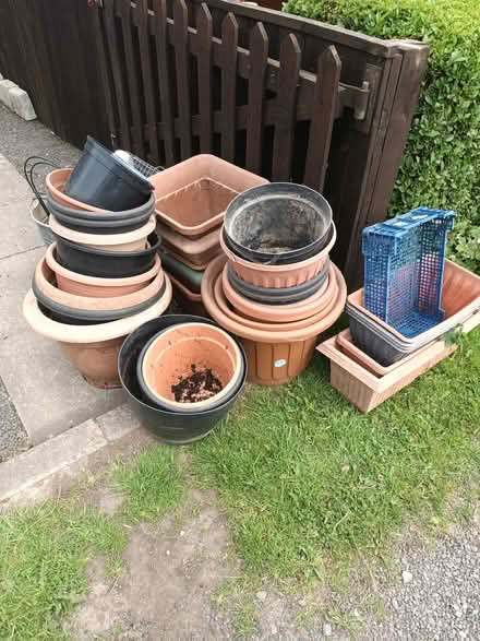 Photo of free Lots of plant pots (Ovington NE436dx) #1