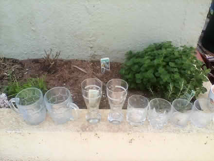 Photo of free Assorted glasses (Saltash PL12) #1