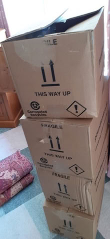 Photo of free moving boxes (Forest Hill OX33) #1