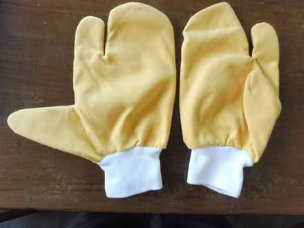 Photo of free Pair of gloves (Eaton Ford PE19) #1