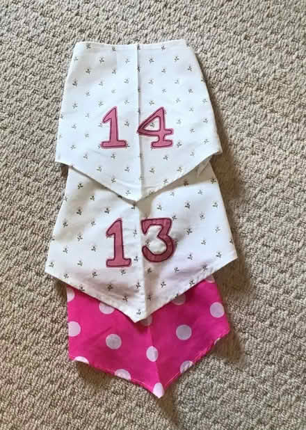 Photo of free Dog Birthday Bandanas (Great Strickland CA10) #1