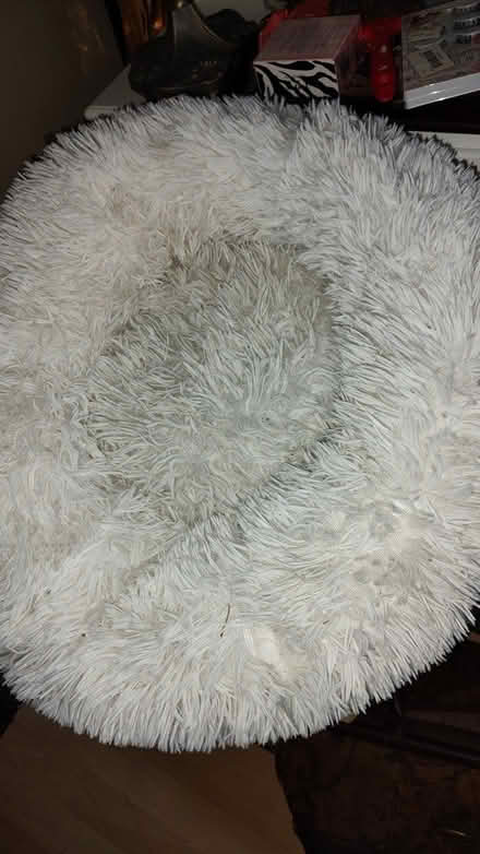 Photo of free Cat bed (L20) #1
