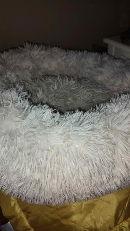 Photo of free Cat bed (L20) #3