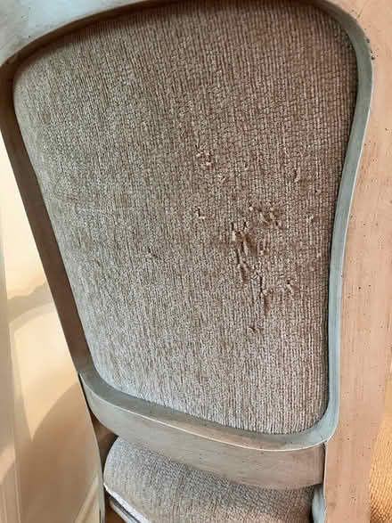 Photo of free Chair (Collegeville) #2