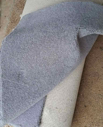 Photo of free Carpet (TN24) #1