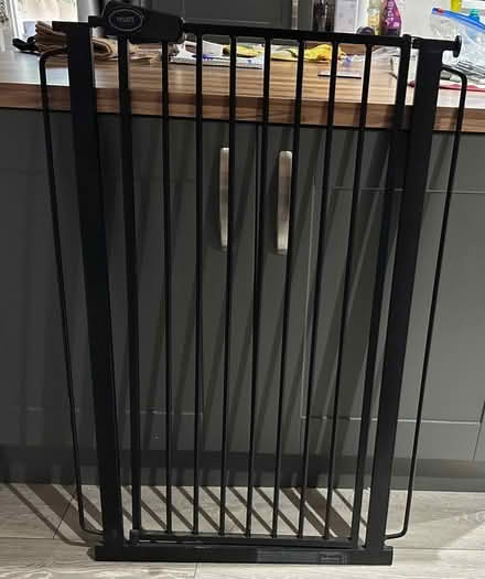 Photo of free Tall dog gate (Long Eaton, Nottingham.) #1