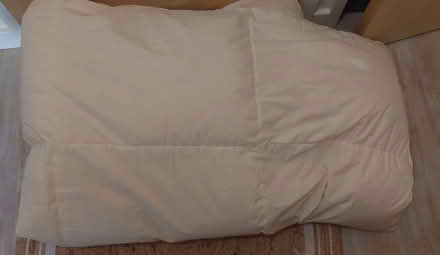 Photo of free Feather Duvet (N4) #1