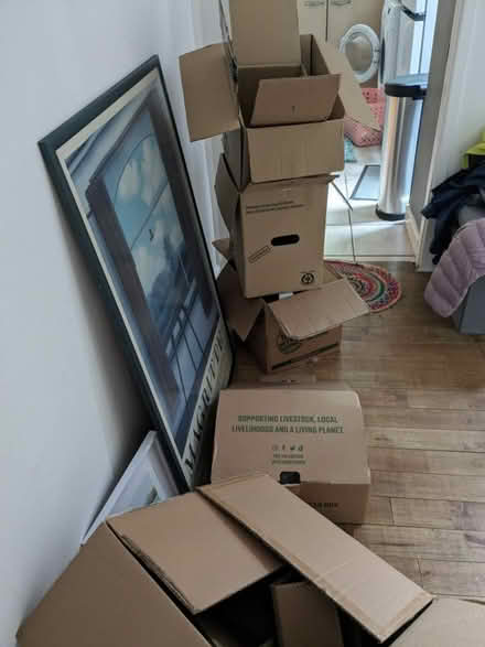 Photo of free Moving Boxes (Freehold LA1) #1