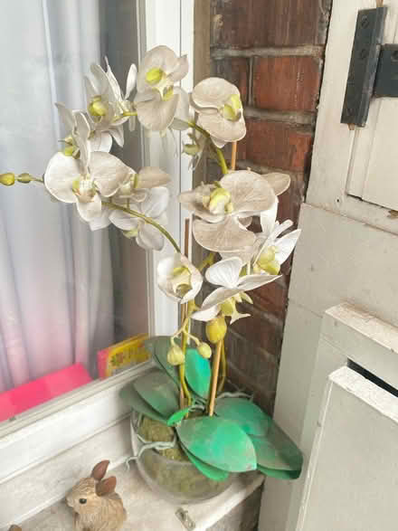 Photo of free Fake flower outside (SW3) #1