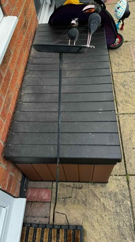 Photo of free Bird feed / water (Loughborough) #2