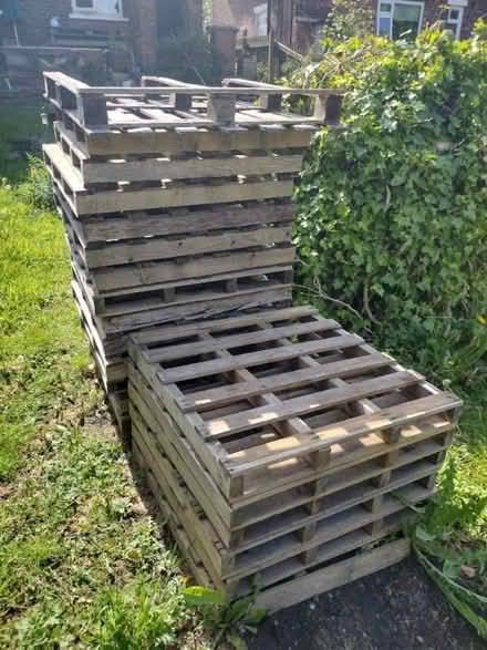 Photo of free Pallets (Ashton-U-Lyne OL6) #1