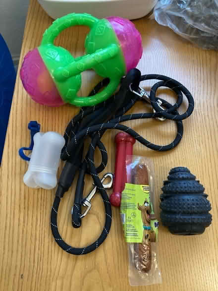 Photo of free Dog lead, toys & bag holder (Forest Gate E7 0) #1
