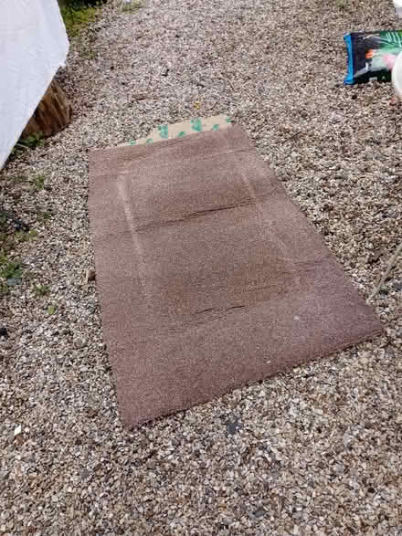 Photo of free Light brown /beige carpet large (Whittington SY11) #2
