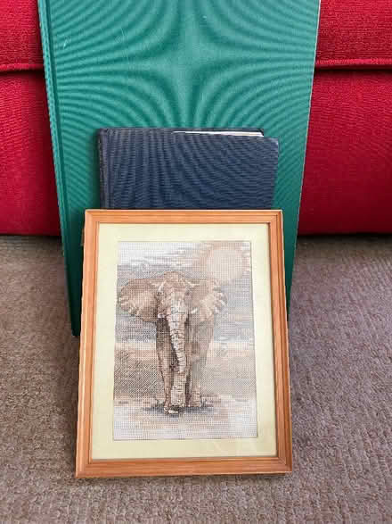 Photo of free Elephant items (Connah's Quay CH5) #1