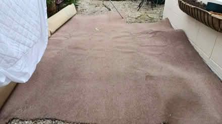 Photo of free Light brown /beige carpet large (Whittington SY11) #1