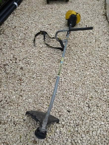 Photo of free Petrol Strimmer (Nympsfield) #1