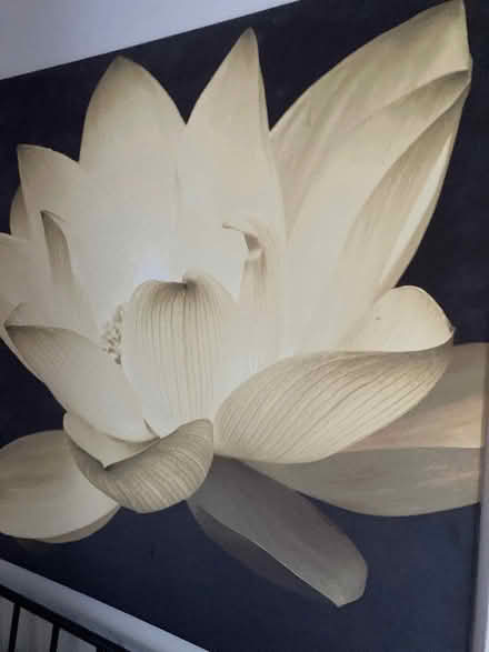 Photo of free XL picture (Ludlow SY8) #1