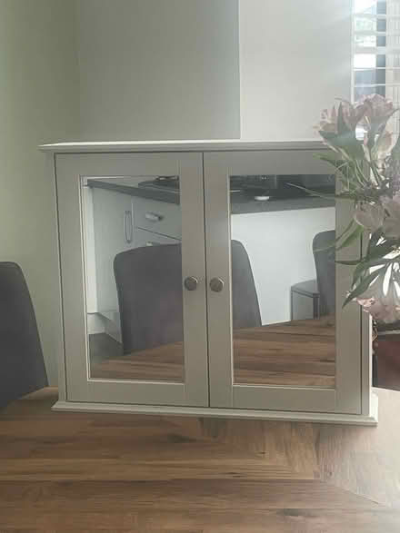 Photo of free Bathroom Wall Mirror Cabinet (GL50) #1