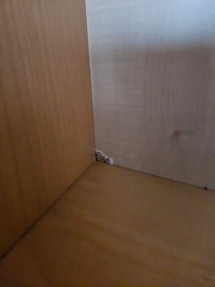 Photo of free Ikea Billy bookcase (Leslieville) #2
