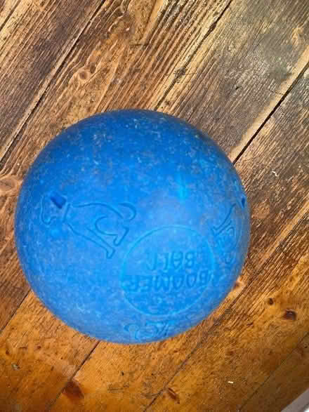 Photo of free Boomer dog ball (Jordanhill G13) #1