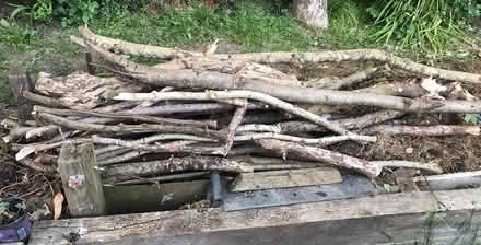 Photo of free Firewood (Bracknell RG12) #1