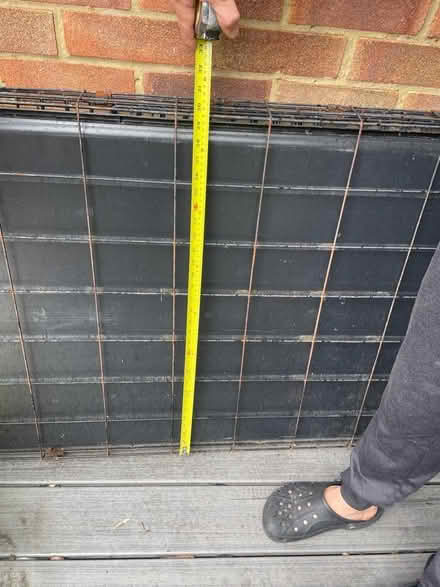 Photo of free Extra large dog cage (Hatfield) #3
