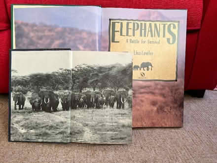 Photo of free Elephant items (Connah's Quay CH5) #2