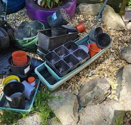 Photo of free plant pots (Malinslee TF3) #1