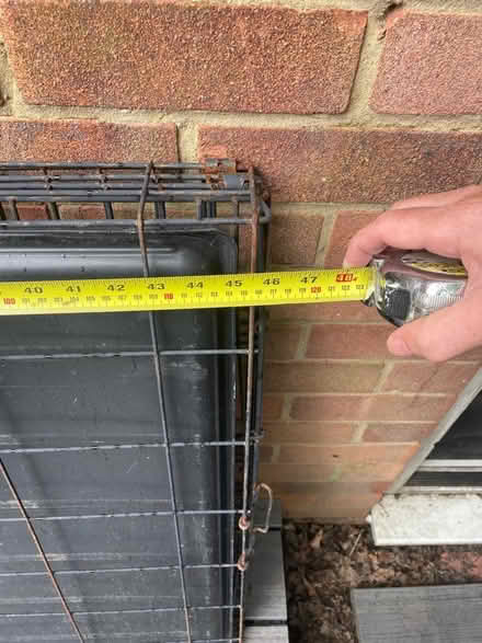 Photo of free Extra large dog cage (Hatfield) #1