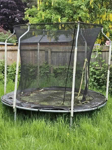 Photo of free Trampoline (Wellingborough NN8) #1