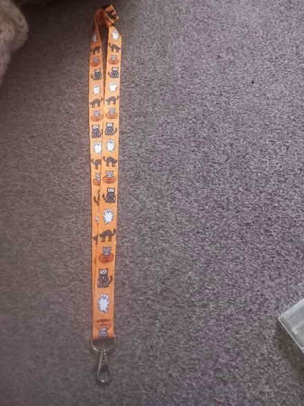 Photo of free Halloween themed lanyard (Tilehurst RG30) #1