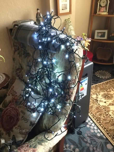 Photo of free White-coloured Christmas lights (Downfield DD3) #1