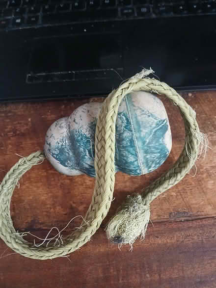 Photo of free Floating Kong dog toy (Jesus Lock area, CB4) #1