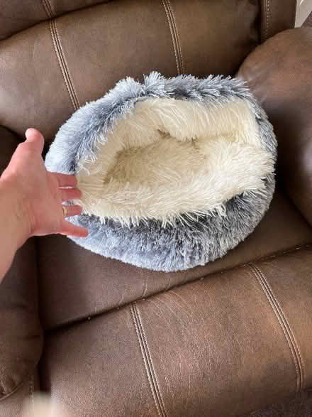 Photo of free Small cat bed (Landican CH43) #1