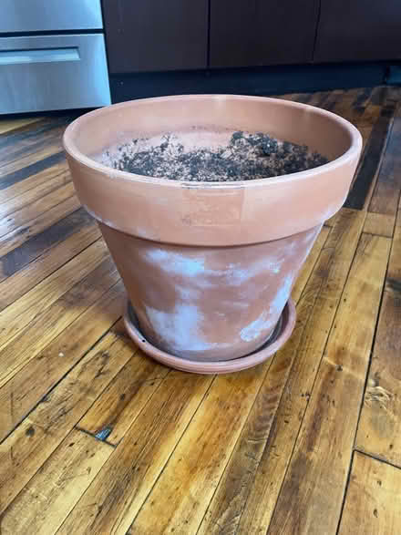 Photo of free 12.5” diameter terra cotta pot (East Kensington) #1