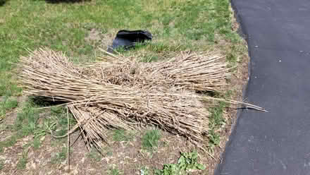 Photo of free Garden Straw (West side unincorporated area) #1