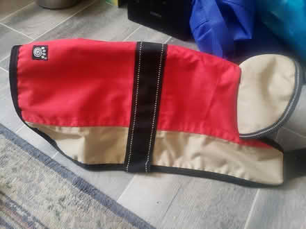 Photo of free Dog Coat (Aurora (Hampden near Tower Rd)) #1