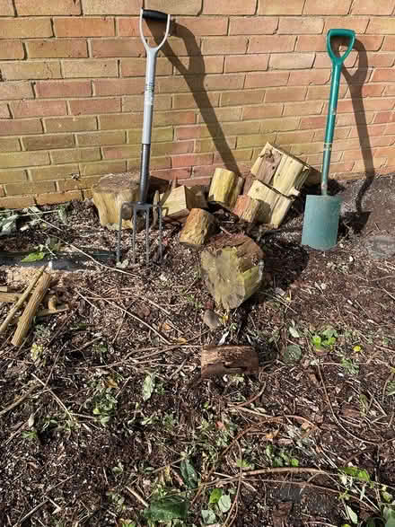 Photo of free Firewood (Southminster CM0) #2