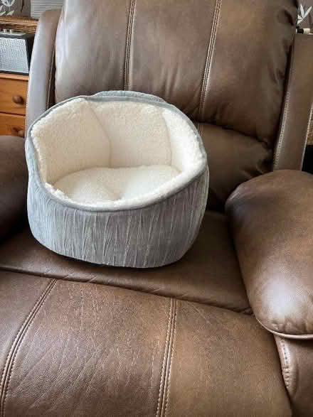 Photo of free Cat bed (Landican CH43) #1
