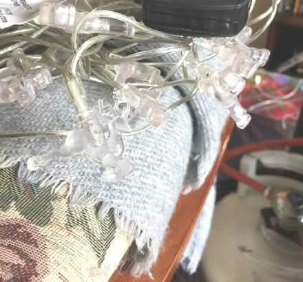 Photo of free Reindeer Christmas lights (Downfield DD3) #2