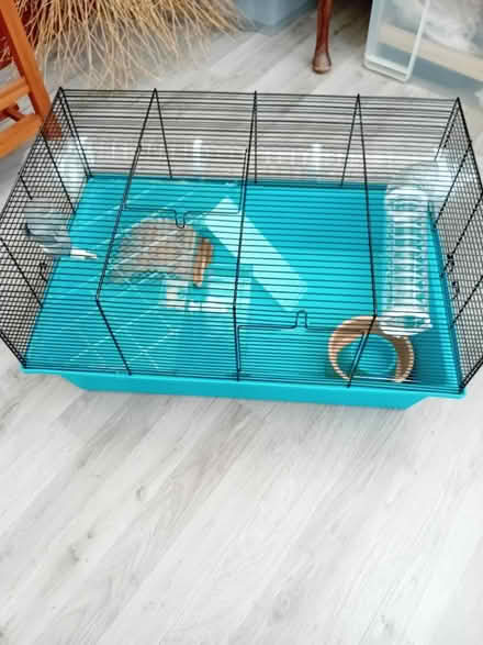 Photo of free Hamster cage plus accessories (Blandford) #1