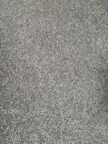 Photo of free Grey wool carpet (Penrith CA11) #1