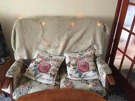 Photo of free Christmas tree etc (Downfield DD3) #1