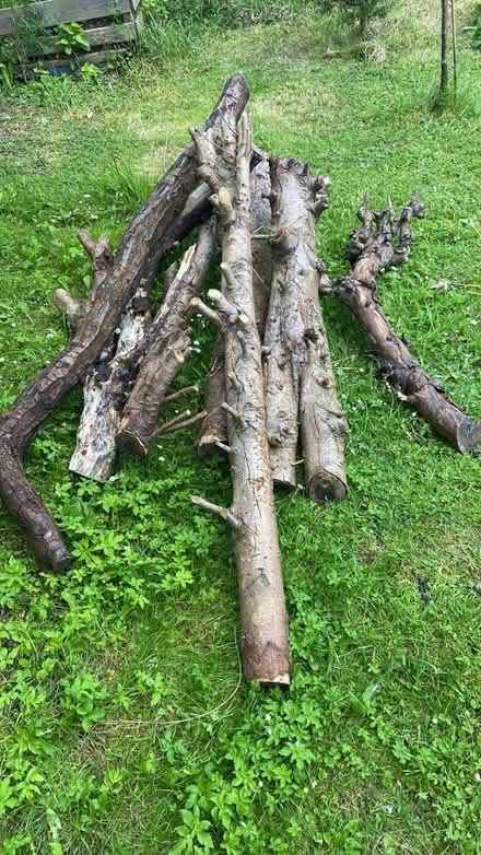 Photo of free Well seasoned wood (Horndean) #1