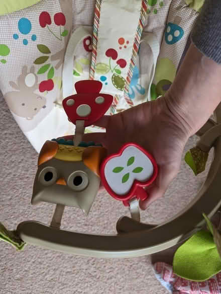 Photo of free Baby bouncer (Lewes, near Prison/Winterborne) #2